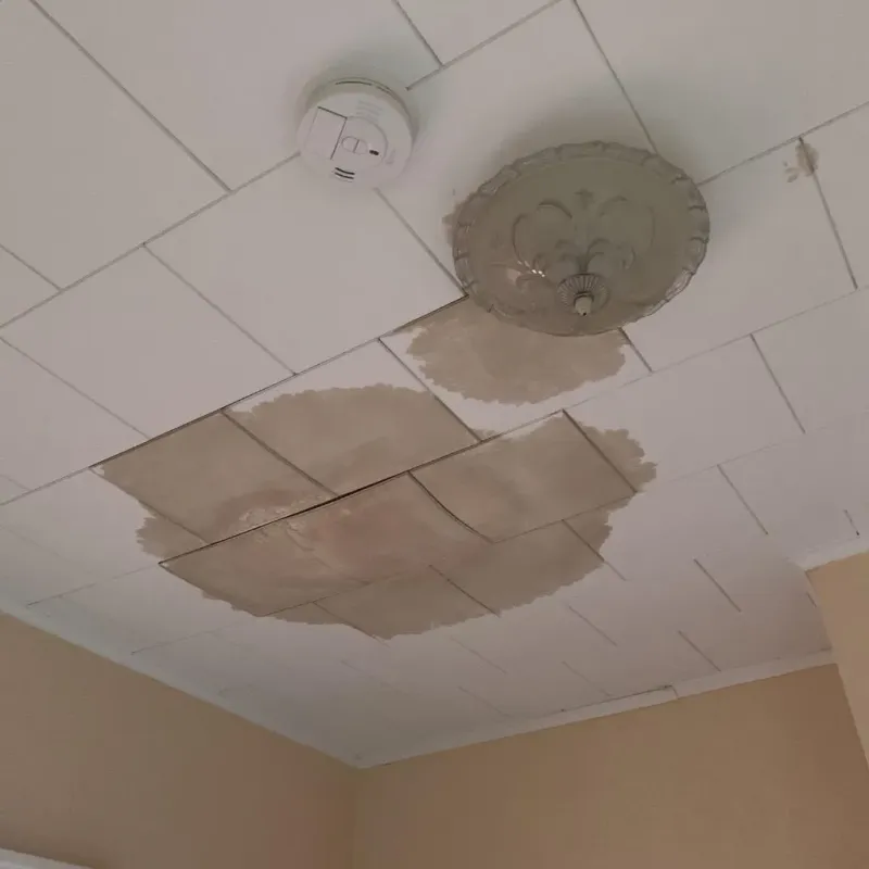 Ceiling Water Damage Repair in Washakie County, WY