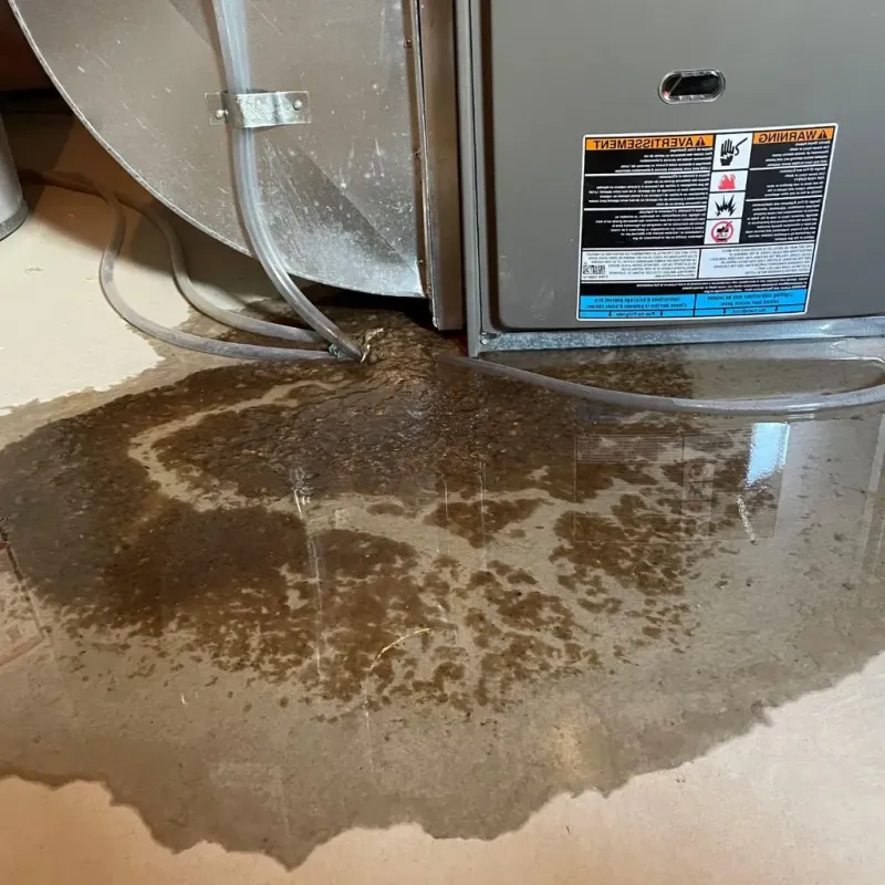 Pipe Burst and Leak Restoration in Washakie County, WY